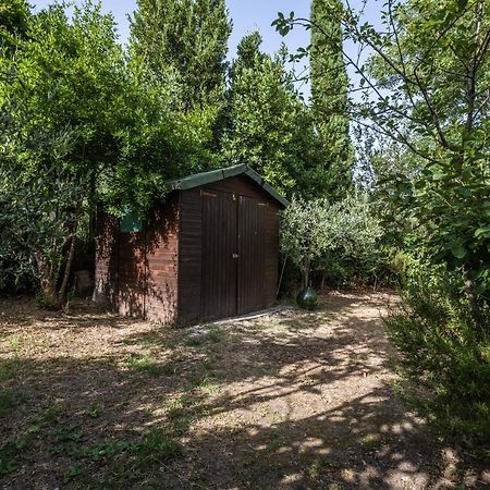 La Sosta Del Pellegrino Διαμέρισμα Sorano  Εξωτερικό φωτογραφία